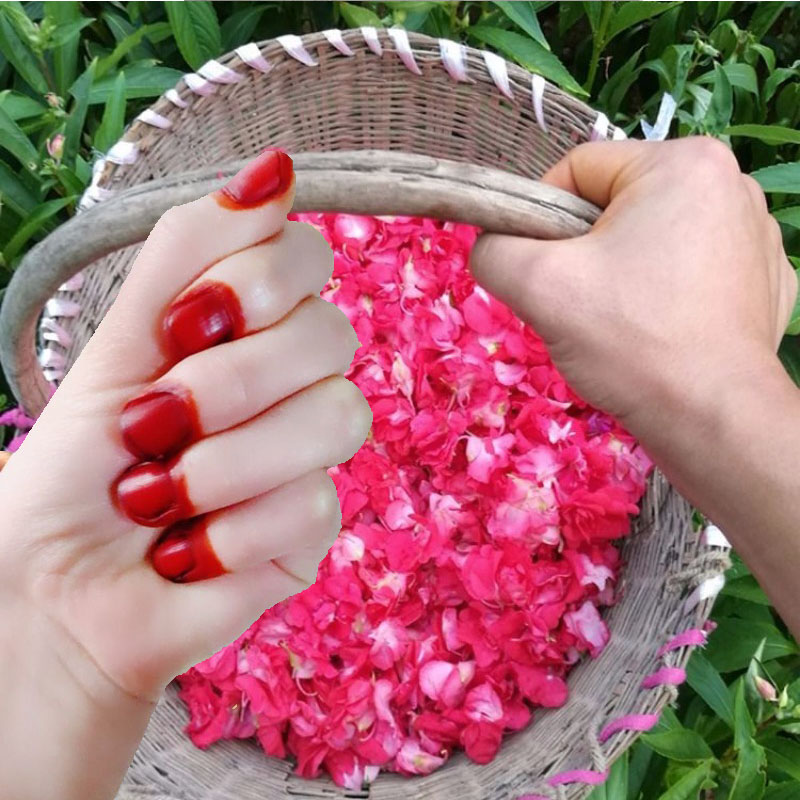Nail Art Natural - 40g Henna Nagel Farbstoff Pulver Für
