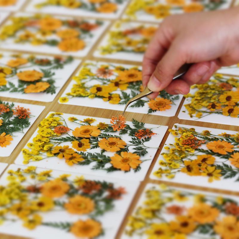 Getrocknete Blumen Echte Natür – Nail Art Natural Bewertung und Preis