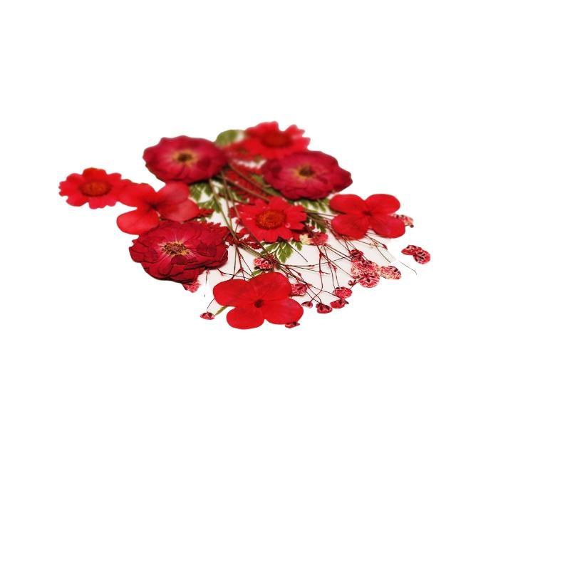 Getrocknete Blumen Echte Natür – Nail Art Natural Bewertung und Preis